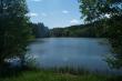Пруд - озеро Чистое на р. Шемлей в 1 км к югу от д. Малое Сеськино (вид с плотины)
