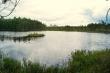 Маленькое, но очень живописное озеро Пурешево (Литняковское)