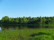 Озеро Юрьево в июне. Фото 3