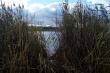 Бобровый сход в озеро Линёвое