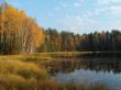 Осень на лесном озере. Фото 1