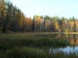 Осень на лесном озере. Фото 3