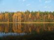 Осень на лесном озере. Фото 4
