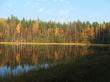 Осень на лесном озере. Фото 5
