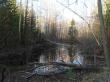 Дохнул осенний хлад на цепь лесных озер... Фото 2