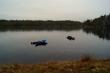 Ну очень большие водомерки живут на озере Еровском