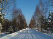 Зимняя дорога. Фото 1