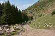 Движение по тропе в альпийских лугах сменилось грунтовой дорогой