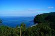  Pololu -   