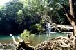 Прогулка по Twin Falls парку. Водопад 1