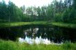 Безымянное озерцо к югу от оз. Боровое. См. под фото "Показать на карте"