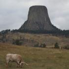   (Devils Tower)