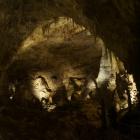   (Carlsbad Caverns National Park)