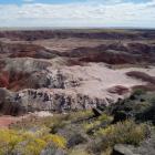   - (Petrified Forest National Park)