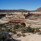     (Natural Bridges)