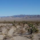     (Death Valley)